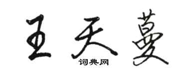 駱恆光王天蔓行書個性簽名怎么寫