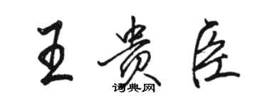 駱恆光王貴臣行書個性簽名怎么寫