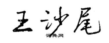 曾慶福王沙尾行書個性簽名怎么寫