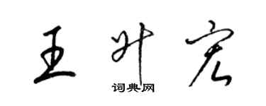 梁錦英王升宏草書個性簽名怎么寫