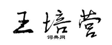 曾慶福王培營行書個性簽名怎么寫