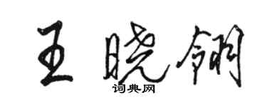 駱恆光王曉翎行書個性簽名怎么寫