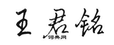 駱恆光王君銘行書個性簽名怎么寫