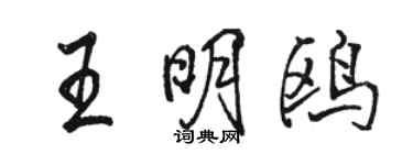 駱恆光王明鷗行書個性簽名怎么寫