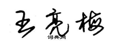 朱錫榮王亮梅草書個性簽名怎么寫