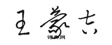 駱恆光王蒙吉草書個性簽名怎么寫