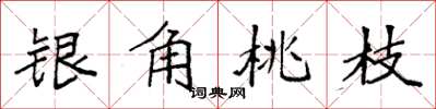 袁強銀角桃枝楷書怎么寫