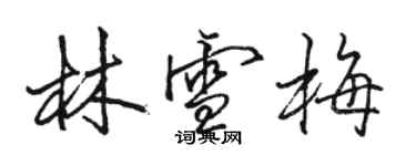 駱恆光林雪梅行書個性簽名怎么寫