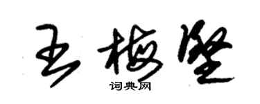 朱錫榮王梅堅草書個性簽名怎么寫