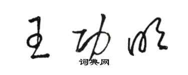 駱恆光王功明草書個性簽名怎么寫