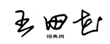 朱錫榮王田花草書個性簽名怎么寫