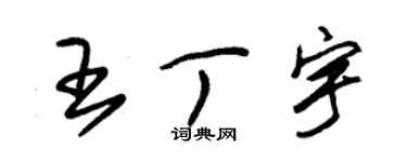 朱錫榮王丁宇草書個性簽名怎么寫