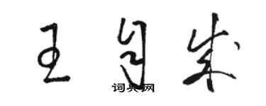 駱恆光王自成草書個性簽名怎么寫