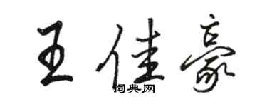 駱恆光王佳豪行書個性簽名怎么寫