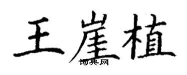 丁謙王崖植楷書個性簽名怎么寫