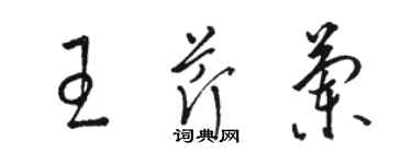 駱恆光王芹蘭草書個性簽名怎么寫