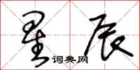 王冬齡星辰草書怎么寫