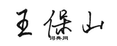 駱恆光王保山行書個性簽名怎么寫