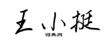 王正良王小挺行書個性簽名怎么寫