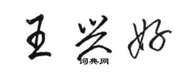 駱恆光王興好行書個性簽名怎么寫