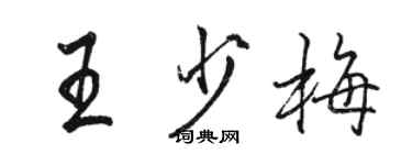 駱恆光王少梅行書個性簽名怎么寫