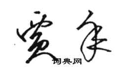 駱恆光賈年草書個性簽名怎么寫