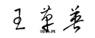 駱恆光王革英草書個性簽名怎么寫