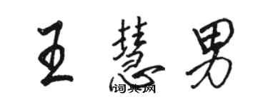 駱恆光王慧男行書個性簽名怎么寫