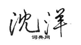 駱恆光沈洋行書個性簽名怎么寫