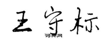 曾慶福王守標行書個性簽名怎么寫