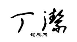 朱錫榮丁潔草書個性簽名怎么寫