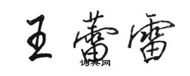 駱恆光王蕾雷行書個性簽名怎么寫