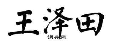 翁闓運王澤田楷書個性簽名怎么寫