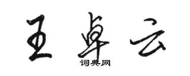 駱恆光王卓雲行書個性簽名怎么寫