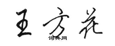 駱恆光王方花行書個性簽名怎么寫