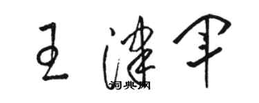 駱恆光王津軍草書個性簽名怎么寫