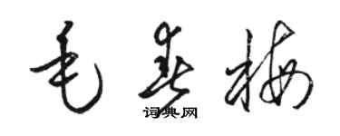 駱恆光毛春梅草書個性簽名怎么寫