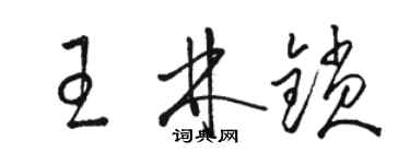 駱恆光王林鎖草書個性簽名怎么寫