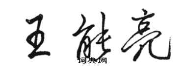 駱恆光王能亮行書個性簽名怎么寫