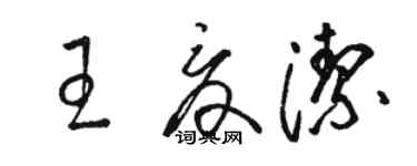 駱恆光王夏潔草書個性簽名怎么寫