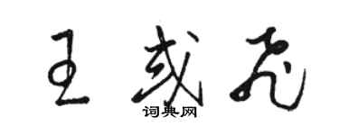 駱恆光王或飛草書個性簽名怎么寫