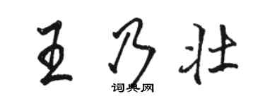 駱恆光王乃壯行書個性簽名怎么寫