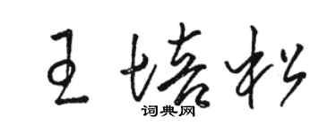 駱恆光王培松草書個性簽名怎么寫