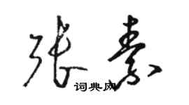 駱恆光張素草書個性簽名怎么寫