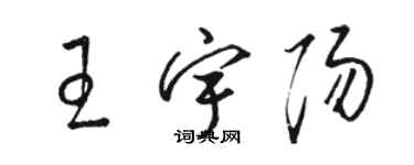 駱恆光王宇陽草書個性簽名怎么寫