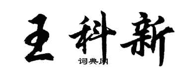 胡問遂王科新行書個性簽名怎么寫