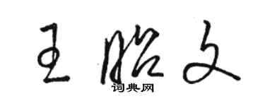 駱恆光王昭文草書個性簽名怎么寫