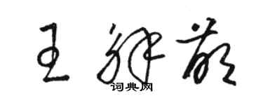 駱恆光王解萌草書個性簽名怎么寫