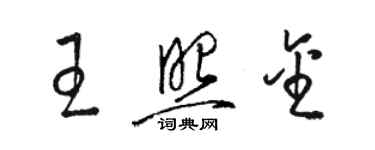 駱恆光王照金草書個性簽名怎么寫