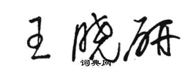 駱恆光王曉研草書個性簽名怎么寫